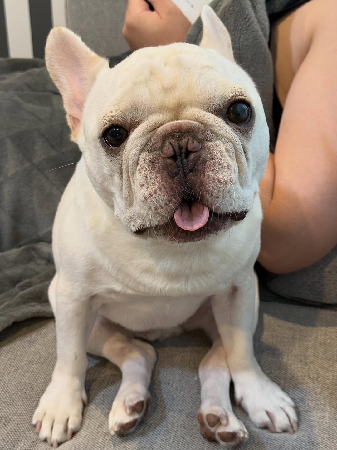 frebull_pamtaro-20251021-0001